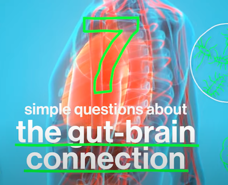 7 questions sur l'axe intestin cerveau